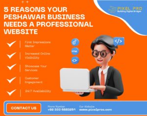 5 Reasons Your Peshawar Business Needs a Professional Website